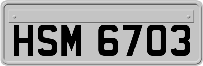 HSM6703