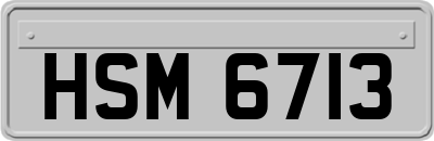HSM6713