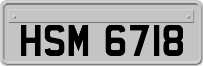 HSM6718