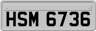 HSM6736