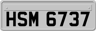HSM6737