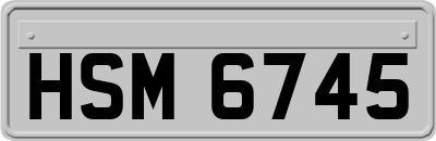 HSM6745