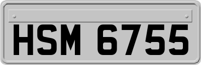HSM6755