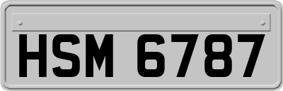 HSM6787