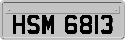 HSM6813