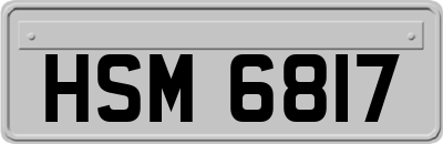 HSM6817
