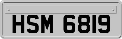 HSM6819