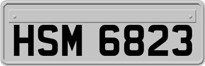HSM6823