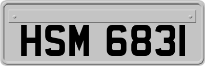 HSM6831