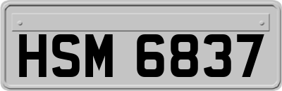 HSM6837