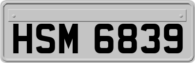 HSM6839