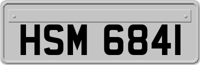 HSM6841