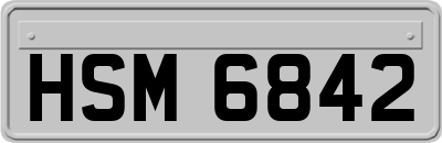 HSM6842