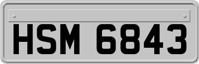 HSM6843
