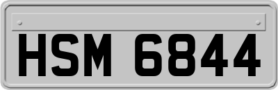 HSM6844