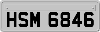 HSM6846