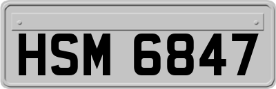 HSM6847