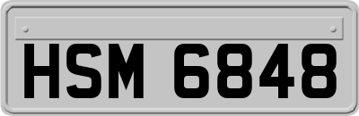 HSM6848