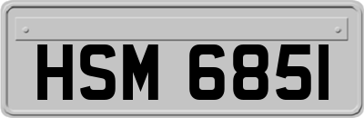HSM6851