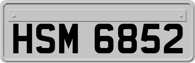 HSM6852
