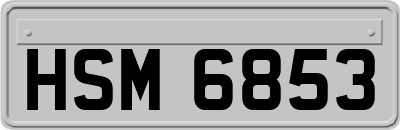 HSM6853