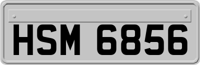 HSM6856