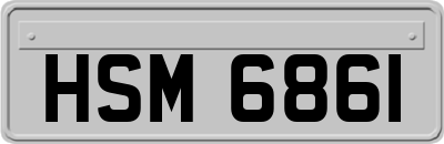 HSM6861