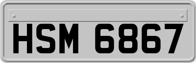 HSM6867