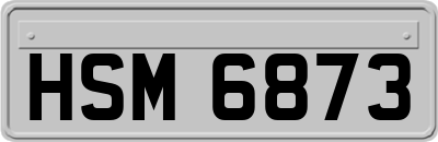 HSM6873