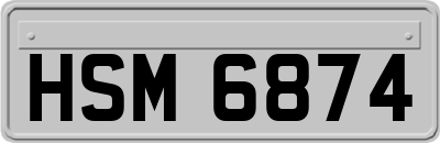 HSM6874