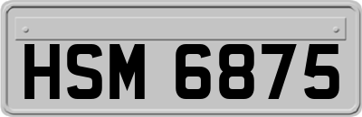 HSM6875