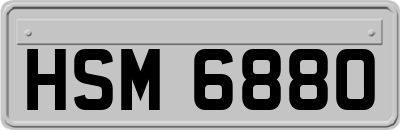 HSM6880