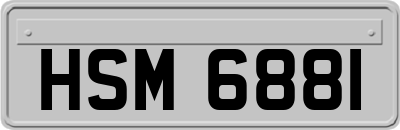 HSM6881
