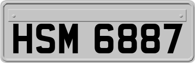 HSM6887