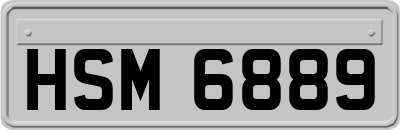 HSM6889