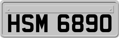 HSM6890