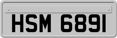 HSM6891