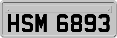 HSM6893
