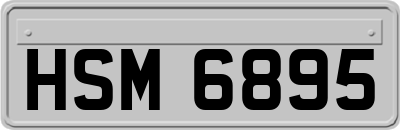 HSM6895