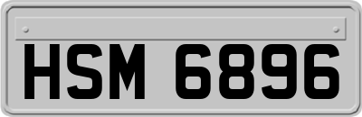 HSM6896