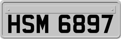 HSM6897