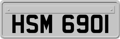 HSM6901