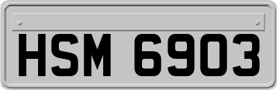 HSM6903