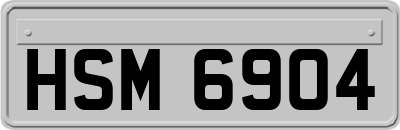 HSM6904