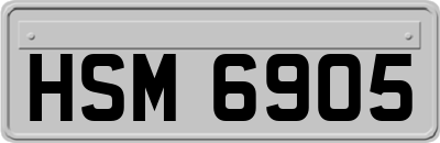 HSM6905