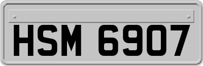 HSM6907