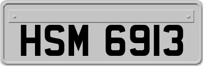 HSM6913