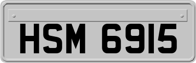 HSM6915