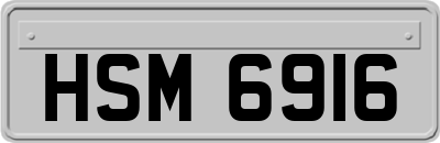 HSM6916