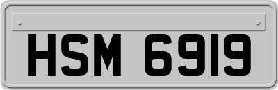 HSM6919